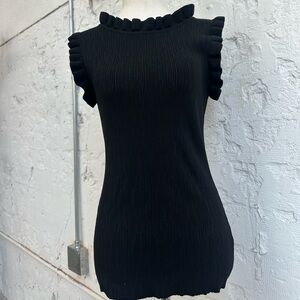 Nordstrom’s Modern Citizen Black Ruffled Neck & Sleeve Knit Top